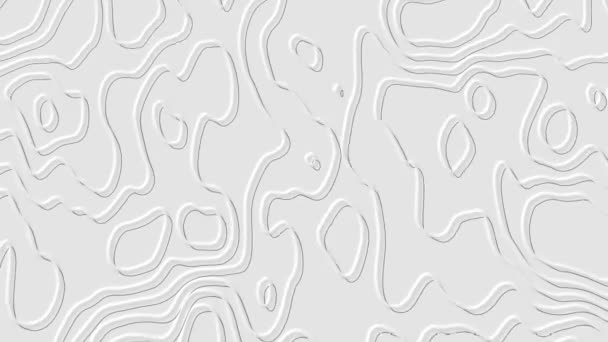 Топографическая Карта Абстрактный Анимированный Контур Движущихся Волн Светлом Фоне — стоковое видео