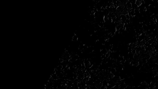 Black White Screen Mode Grunge Overlay Dirt Looped Animation Effect — Stock video