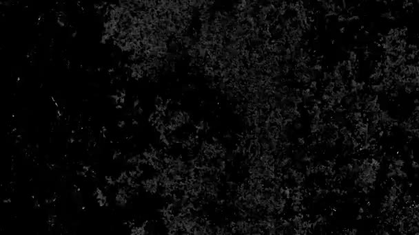 Black White Screen Mode Grunge Overlay Looped Animation Effect — Stock video