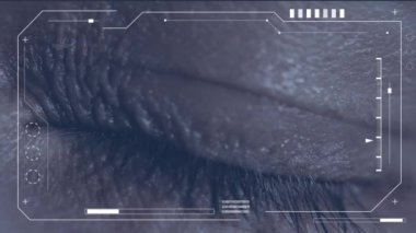 4K üzerinde dijital veri işleme ve tarama animasyonu