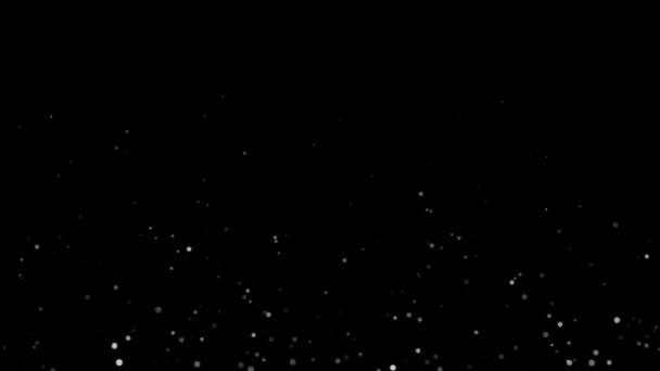 黒い背景に白いボケ効果を持つ塵の抽象的なスペック — ストック動画