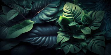tropical foliage, green plants, flora background  