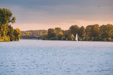 Adam köpeğini şehir parkında gezdiriyor. Dostluk ve evcil hayvan yaşam tarzı