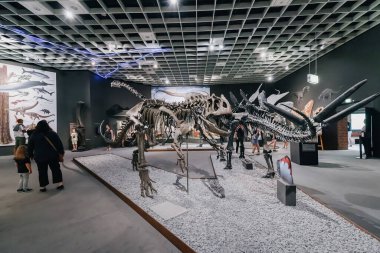 26 Temmuz 2022, Munster Doğal Tarih Müzesi, Almanya: Jura ve Kretase Dönemi 'nin korkutucu dinozor iskeletlerinin sergilenmesi