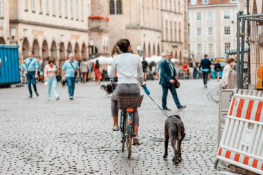 26 Temmuz 2022, Munster, Almanya: Köpeğiyle birlikte şehir caddesinde bisiklet süren kız