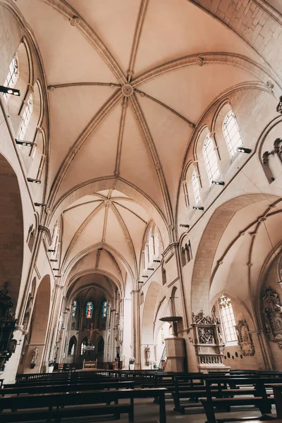 Julio 2022 Munster Alemania Famosa Vista Interior Catedral San Pablo —  Fotos de Stock