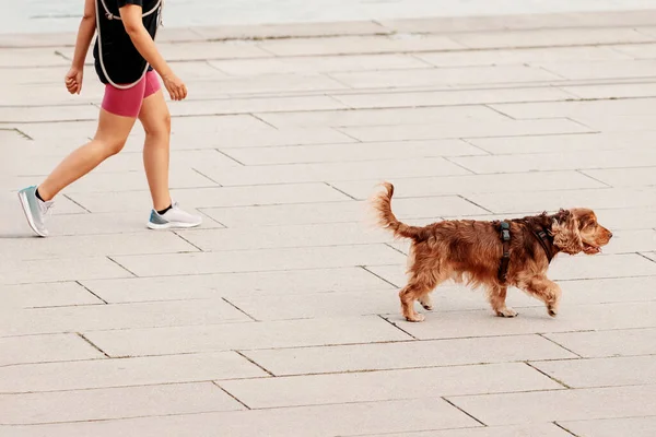 Una Chica Pasea Perro Por Parque Ciudad Clases Conjuntas Deporte —  Fotos de Stock