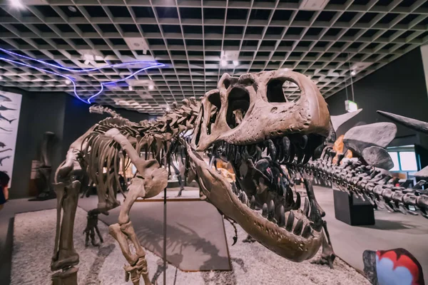Julio 2022 Museo Historia Natural Munster Alemania Exposición Aterradores Esqueletos — Foto de Stock