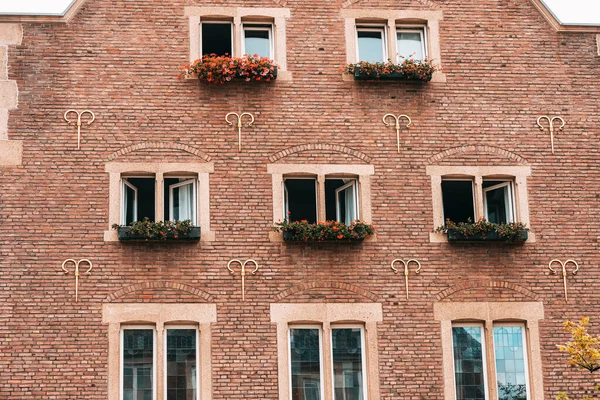 Июля 2022 Года Мюнстер Германия Старые Дома Изысканными Фасадами Фасадом — стоковое фото