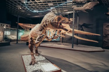 26 Temmuz 2022, Munster Doğal Tarih Müzesi, Almanya: Korkunç dinozorların iskeletleri ve Kretase Dönemi 'nin deri modellerinin sergilenmesi