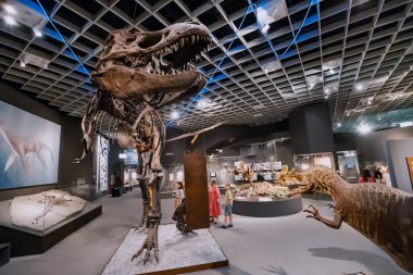 26 Temmuz 2022, Munster Doğal Tarih Müzesi, Almanya: Jurasik ve Kretase Dönemi 'nin korkunç tyrannosaurus dinozor iskeletleri sergisi