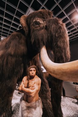 26 Temmuz 2022, Munster, Almanya: Antik soyu tükenmiş tüylü mamut ve yakınlarda Doğa Tarihi Müzesi 'nin içinde bir insan avcısı figürü