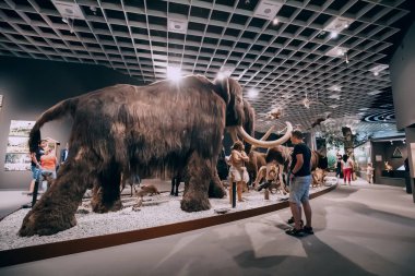 26 Temmuz 2022, Munster, Almanya: Doğa Tarihi Müzesi 'nin içinde nesli tükenmiş dev bir mamut ve insan avcısına bakan ziyaretçiler