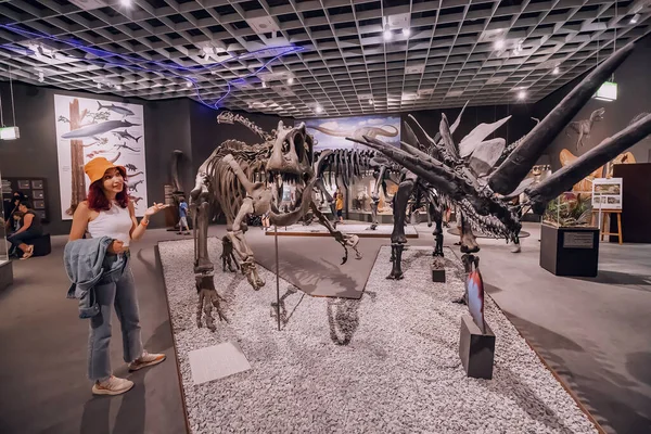 Juli 2022 Naturkundemuseum Münster Besucherin Der Ausstellung Schrecklicher Dinosaurierskelette Aus — Stockfoto
