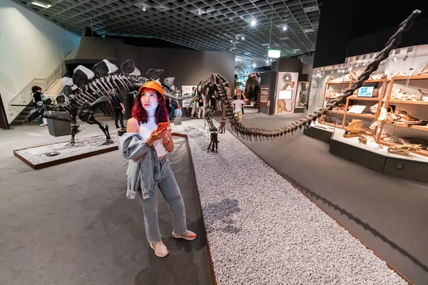 Temmuz 2022 Munster Doğal Tarih Müzesi Almanya Korkunç Dinozor Iskeletleri — Stok fotoğraf