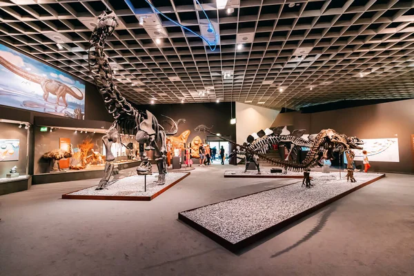 Липня 2022 Музей Природничої Історії Манстера Німеччина Виставка Жахливих Скелетів — стокове фото