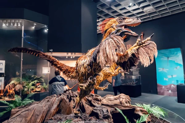 Juli 2022 Munster Natuurhistorisch Museum Duitsland Velociraptor Deinonychus Met Veren — Stockfoto
