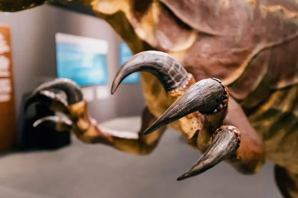 Длинные Острые Когти Доисторического Динозавра Концепция Хищника Добычи — стоковое фото