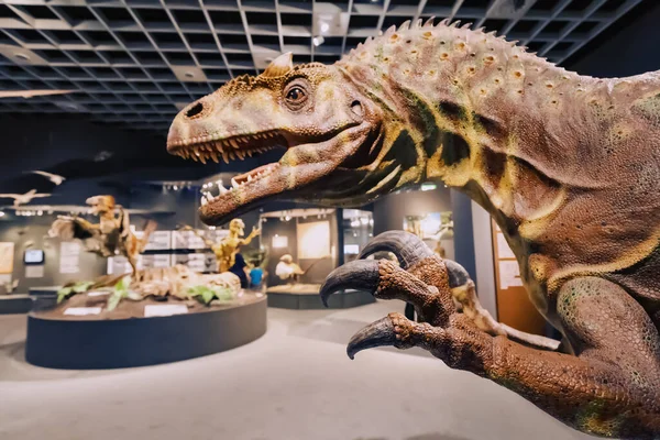 Juillet 2022 Musée Histoire Naturelle Munster Allemagne Modèle Dinosaure Allosaurus — Photo