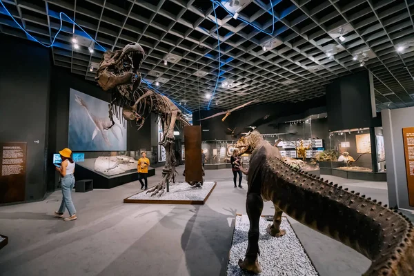 Červenec 2022 Přírodovědecké Muzeum Munsteru Německo Výstava Děsivých Tyranosaurských Kostlivců — Stock fotografie