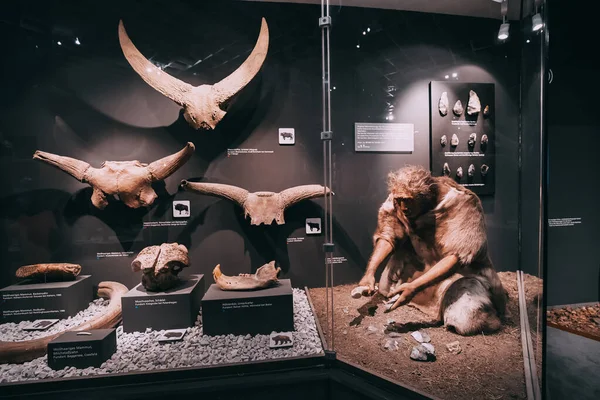 Julio 2022 Munster Alemania Figura Neandertal Antiguo Cazador Trabajando Con — Foto de Stock