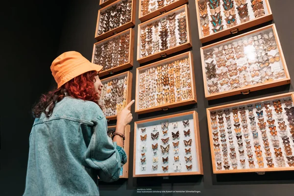 Липня 2022 Манстер Німеччина Дівчинка Досліджує Велику Колекцію Метеликів Виставці — стокове фото