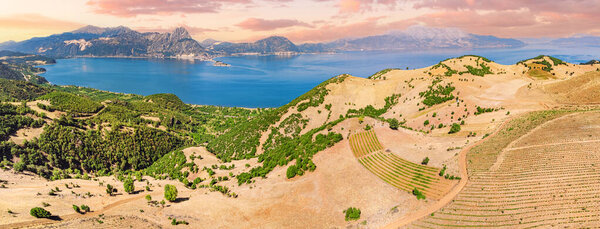 Lavender and agricultural shrub plantations with Lake Egirdir in the background. Aerial view