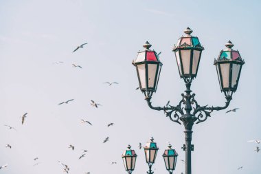 Bir sahil kasabasında, güzel bir sokak lambasının yanında uçan martı sürüleri.