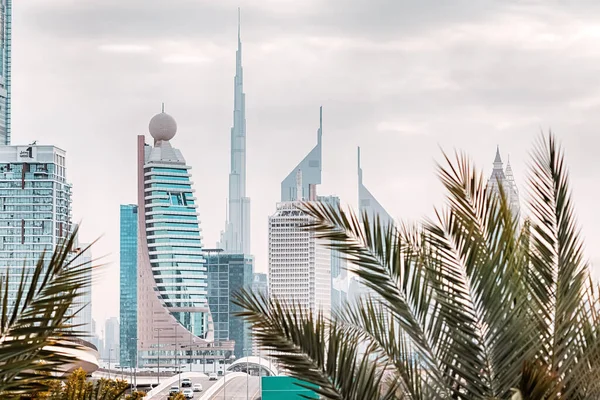 Folhas Palma Arranha Céus Dubai Bloco Residencial Popular Estância Turística — Fotografia de Stock