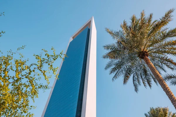 Januari 2023 Abu Dhabi Verenigde Arabische Emiraten Abu Dhabi National — Stockfoto