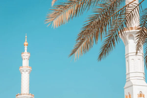 Palme Und Eindrucksvolles Meisterwerk Islamischer Architektur Die Scheich Zayed Moschee — Stockfoto