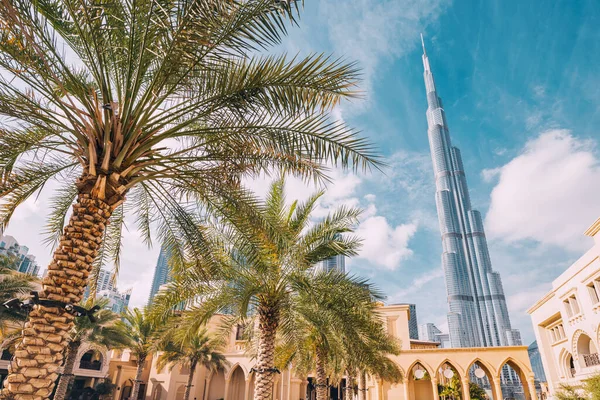 Burj Khalifa Legmagasabb Épület Világ Ellen Kék Pálmafalevelek Ingatlan Ingatlan — Stock Fotó
