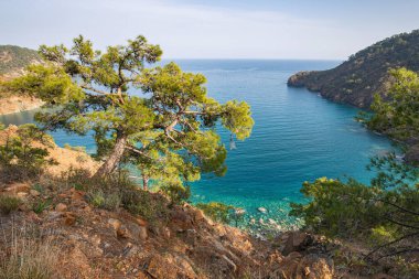 Lycian tarzı manzara - çam ağaçları ve Akdeniz