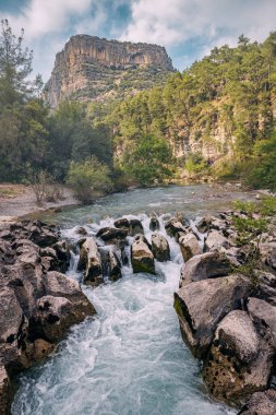 Fırtınalı bir dağ nehri ve pitoresk akıntıları olan dar bir vadi.