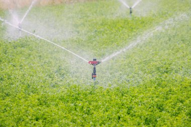 Tarım tarlasına su püskürtücü