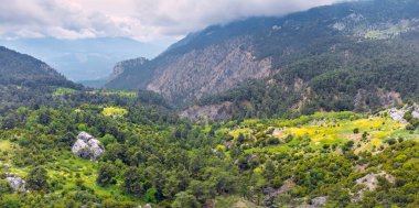 Türkiye 'deki Taurus dağları ve yeşil çayırlar - ulusal park kavramı