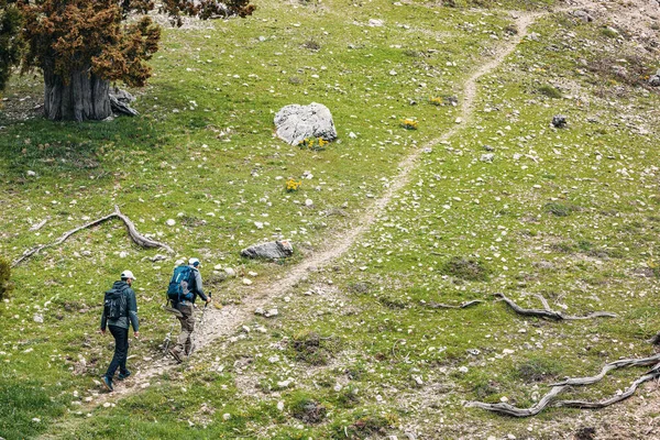 Deux Randonneurs Marchant Long Sentier Sur Colline — Photo