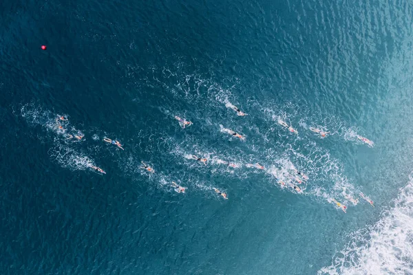 stock image Aerial view of athletes at open water sea swimming competitions