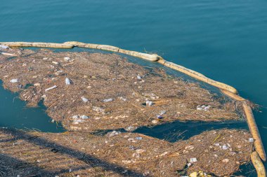 Çöpler ve çöpler denizde yüzüyor.