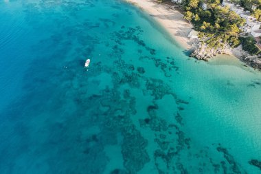 Soyut doğal desenlerle deniz tabanının havadan görünüşü. Yaz bayramı duvar kağıdı