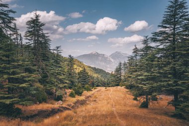 Bir Taurus dağının panoramik manzarası. Türkiye 'de bir Lycian Yolu manzarası