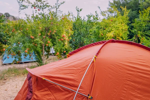 Rode Campingtent Tuin Reizen Buiten Recreatie Rust Natuur Concept — Stockfoto