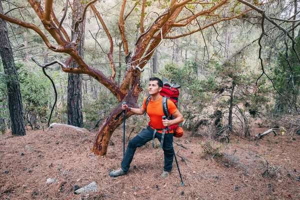 Šťastný Pěší Muž Trekkingovým Batohem Turistickými Holemi Skalnaté Stezce Stezce — Stock fotografie