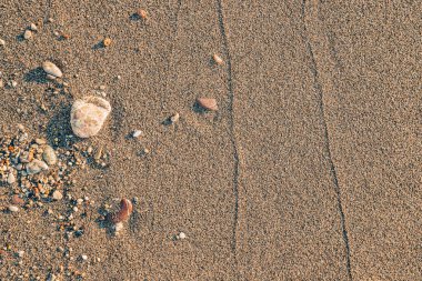 Kum plajı arka plan dokusu, kum tanelerinde bulunan doğal güzellikleri ve benzersiz desenleri yakalıyor..