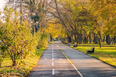 Sonbaharın canlı paleti, boş bisiklet yollarının, ekim ayında güneşlenen altın bir ormanlık alanda rüzgarla estiği cennet gibi bir park sahnesini resmediyor..