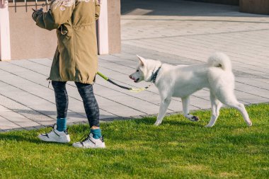 05 Aralık 2023, Belgrad, Sırbistan: Genç bir kadın, sevimli beyaz köpeğiyle parkta sakin bir yürüyüş yaparak, açık havada dostluk ve arkadaşlık bağı kuruyor.