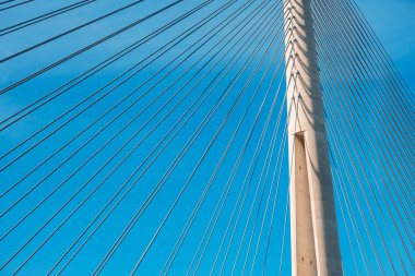 Sırbistan 'ın Belgrad kentindeki köprünün yüksek çelik yapısı, kentin nefes kesici manzarası ve Sava Nehri' nin sakin suları ile banliyö sakinleri için hayati bir bağlantı sağlıyor..