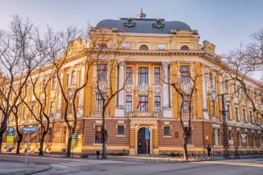 28 Ocak 2024, Subotica, Sırbistan: Subotica 'nın mimari harikalarının dışı, tarihi cazibeyi canlı Art Nouveau tasarımlarıyla harmanlayarak bölgenin zengin mirasını yansıtıyor.