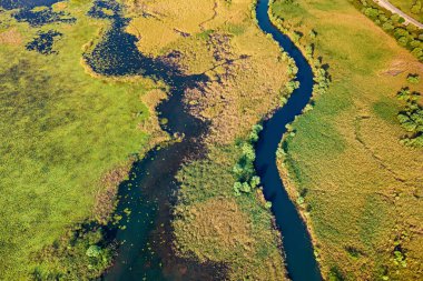 Karadağ 'ın Skadar Gölü etrafındaki yemyeşil ekosistemin hava manzarası, bataklık alanları ve yoğun yeşilliklerle dolu