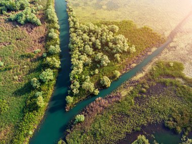 Skadar Milli Parkı 'nın yeşilliklerinden akan manzara nehri doğa meraklıları için bir cennet.